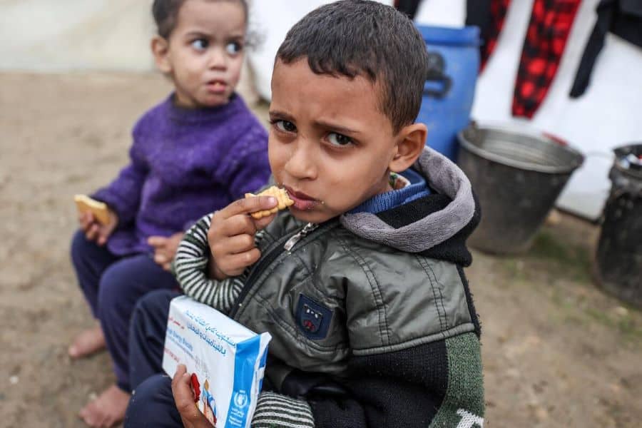 Featured image for “In a briefing to the UN Security Council, FAO warns of imminent famine in northern Gaza due to escalation of conflict, collapse of agrifood systems and constraints to humanitarian access”